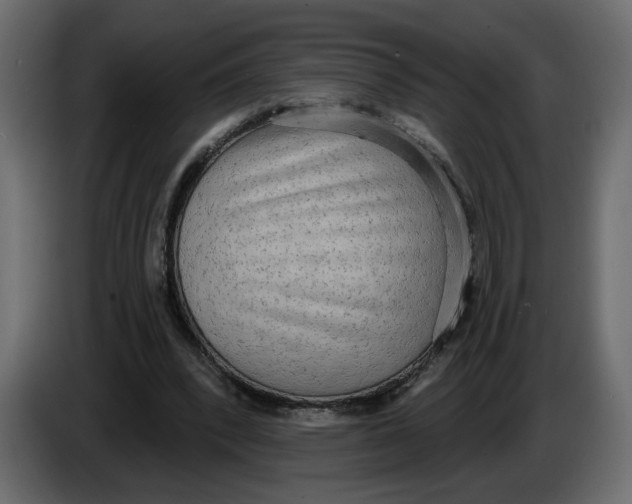 X0000086000392200704131810