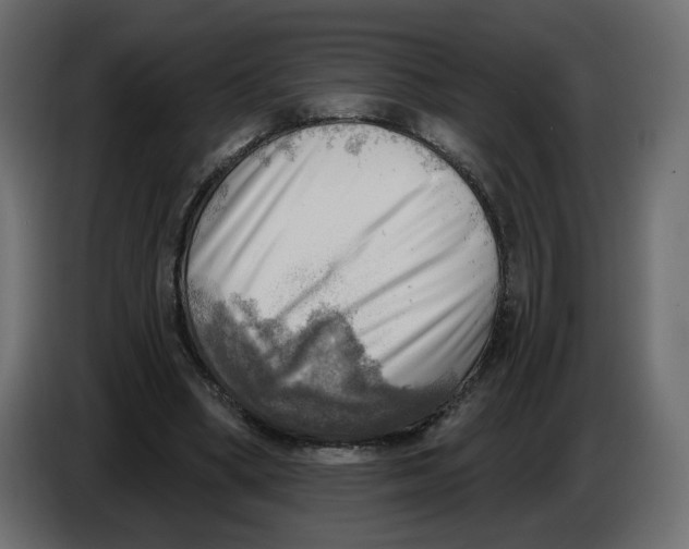 X0000086000394200704131810