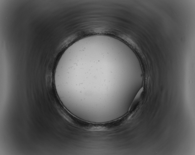 X0000086000397200704131810