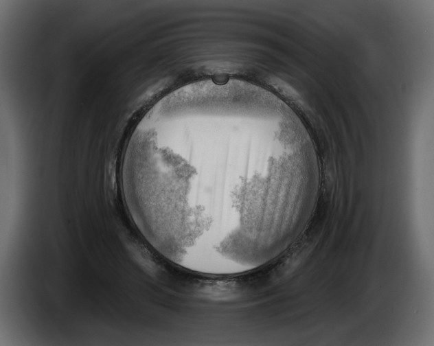 X0000086000398200704131810