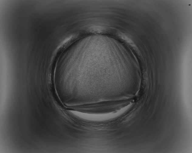 X0000086000399200704131810