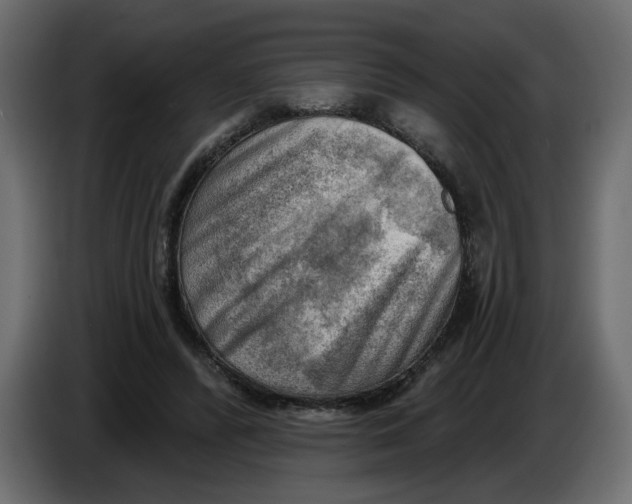 X0000086000400200704131810