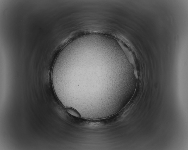 X0000086000401200704131810