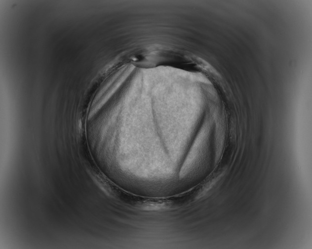 X0000086000405200704131810