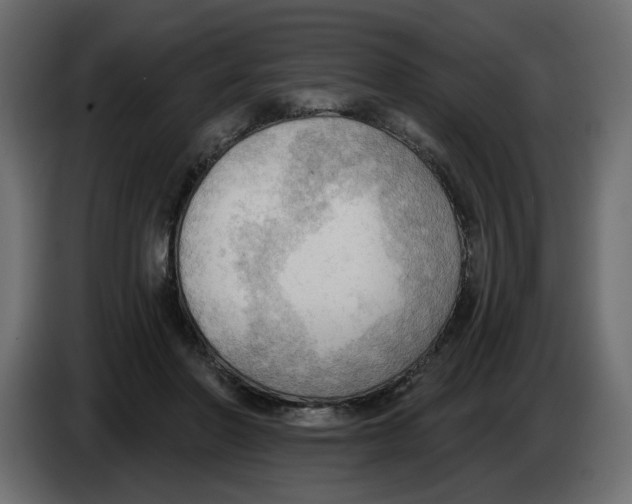 X0000086000406200704131810