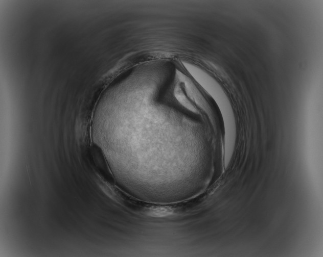 X0000086000409200704131809