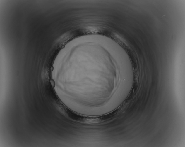 X0000086000410200704131809