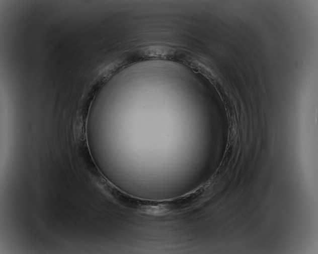 X0000086000411200704131809