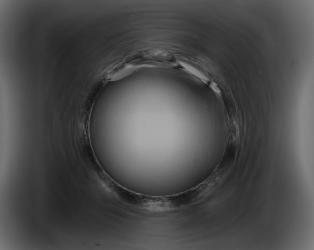 X0000086000415200704131809