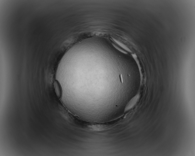 X0000086000417200704131809