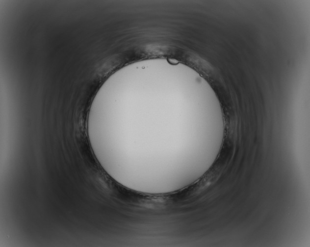 X0000086000418200704131809