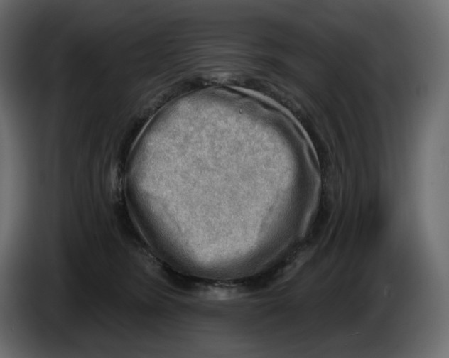 X0000086000420200704131809