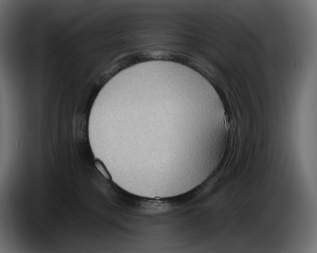 X0000086000421200704131809