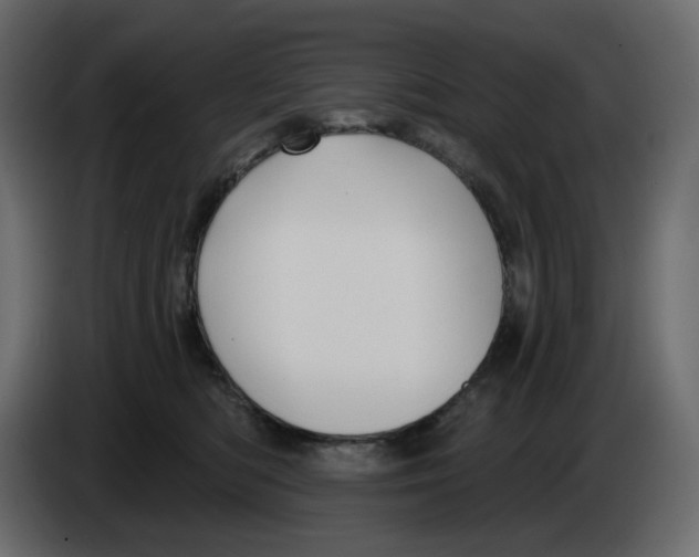 X0000086000422200704131809