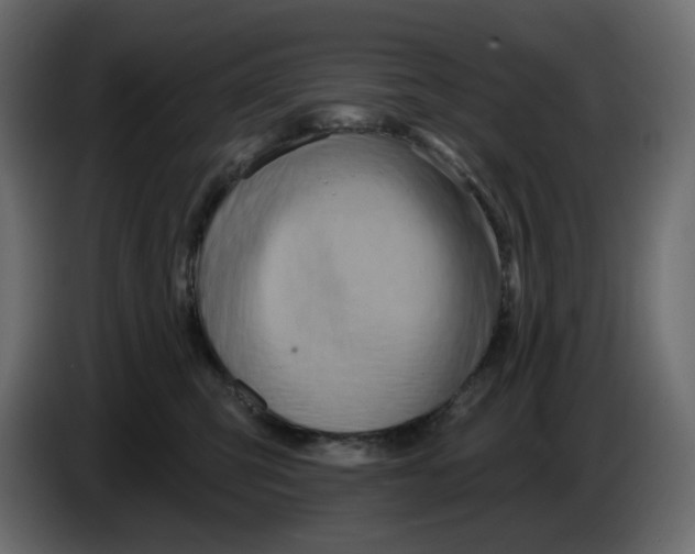 X0000086000423200704131809