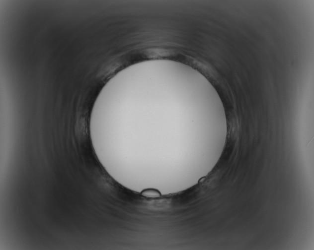 X0000086000426200704131809