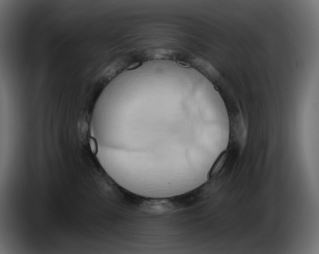 X0000086000427200704131809