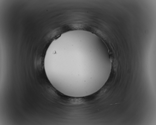 X0000086000428200704131809