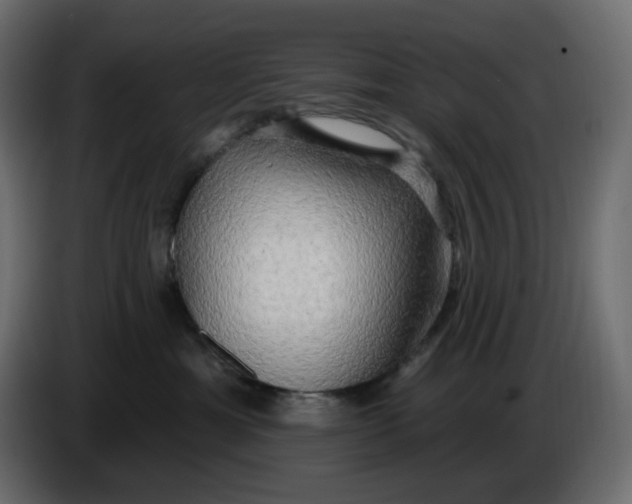 X0000086000429200704131809