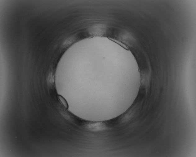 X0000086000431200704131809