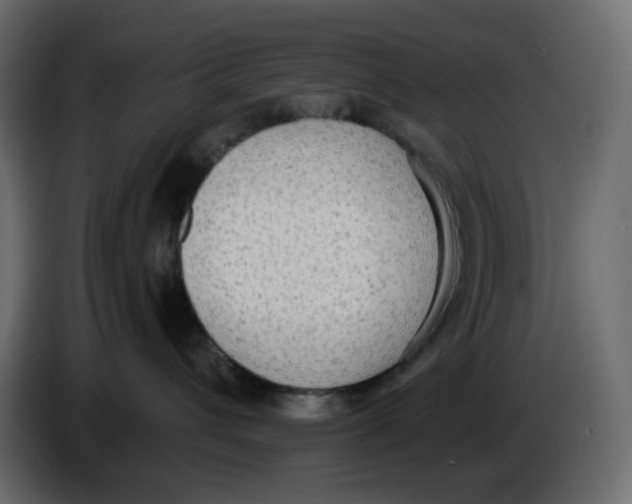 X0000086000432200704131809