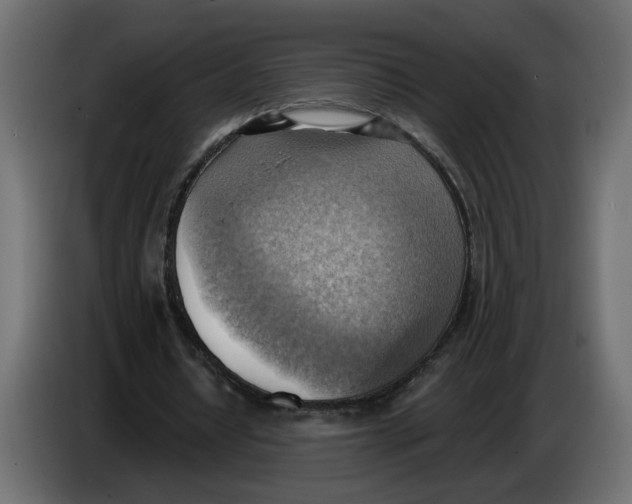 X0000086000434200704131808