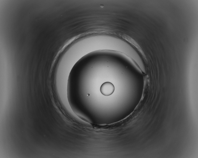 X0000086000436200704131809