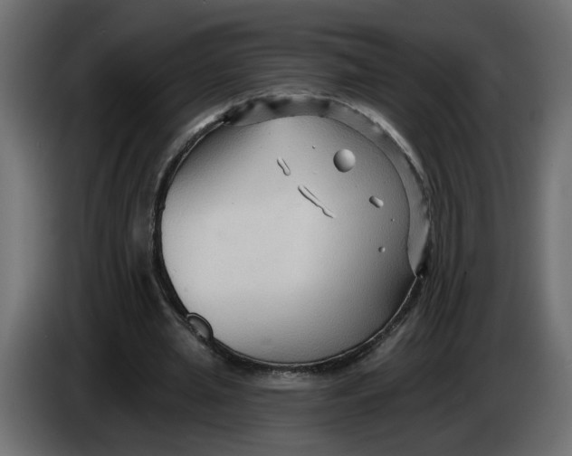 X0000086000437200704131809