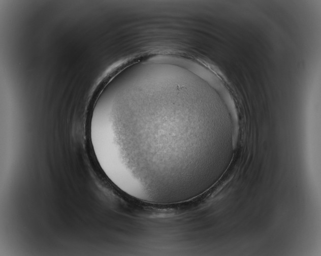 X0000086000438200704131809