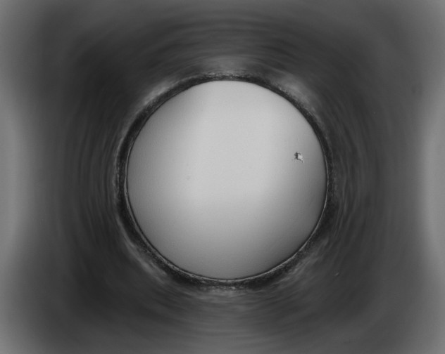 X0000086000439200704131809