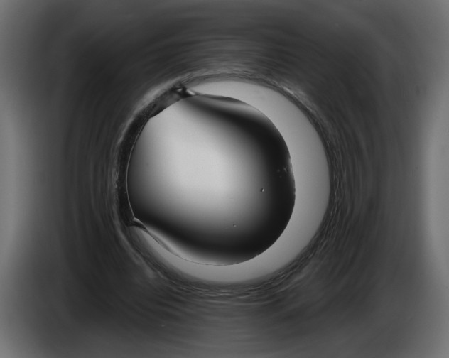 X0000086000440200704131809