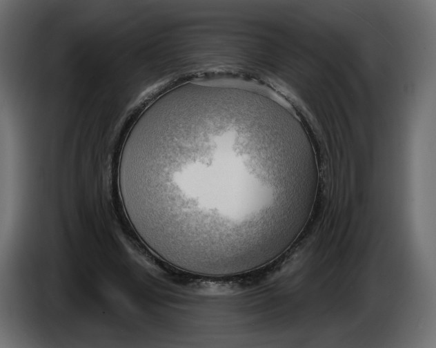 X0000086000442200704131809