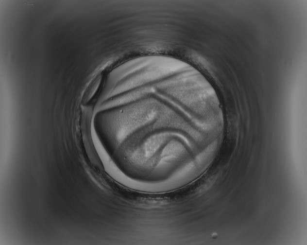 X0000086000443200704131809