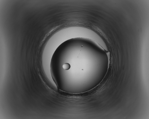 X0000086000444200704131809