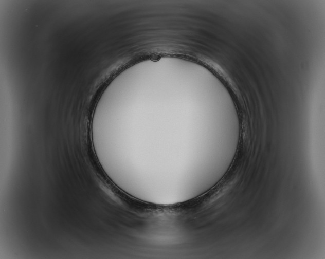 X0000086000445200704131809