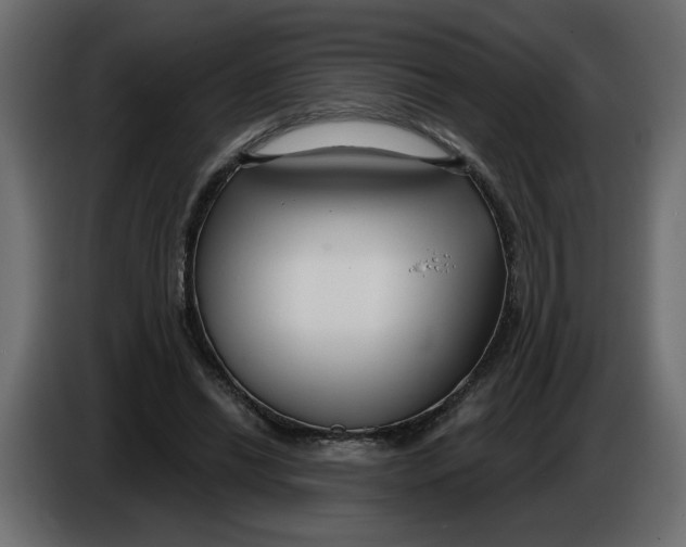 X0000086000446200704131809