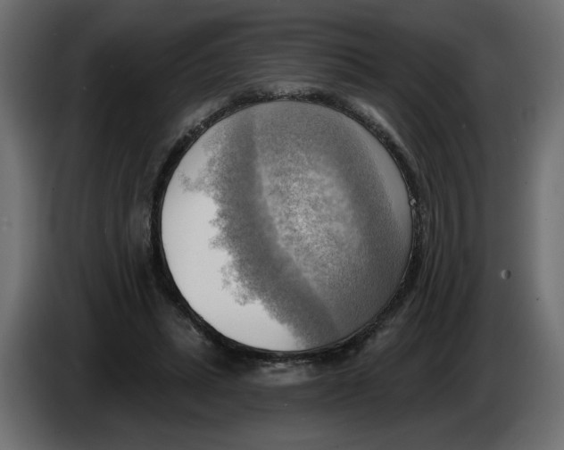 X0000086000447200704131809