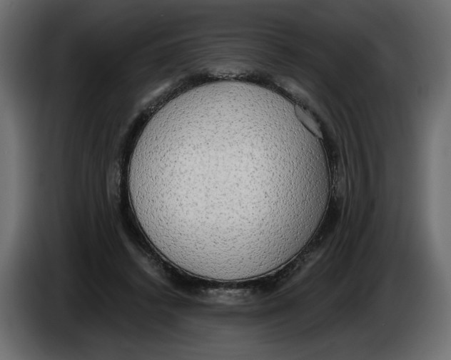 X0000086000448200704131809