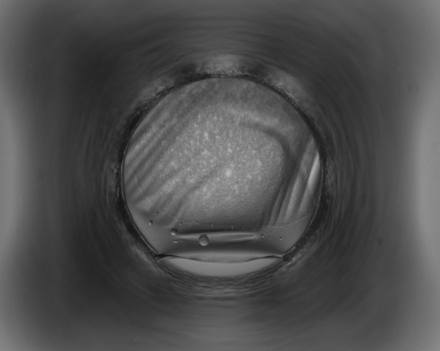 X0000086000449200704131809