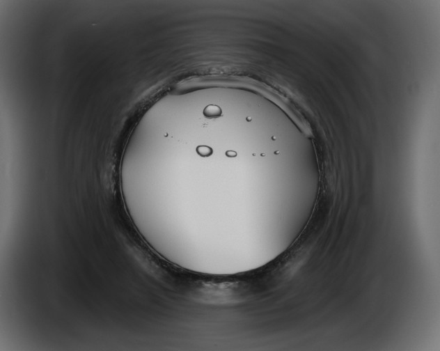 X0000086000450200704131809