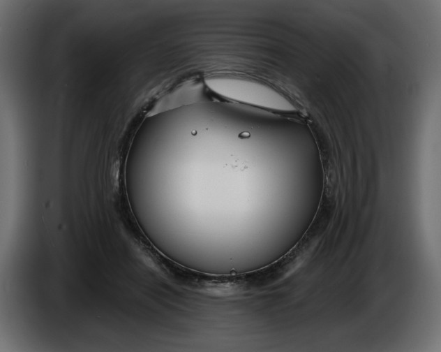 X0000086000454200704131809