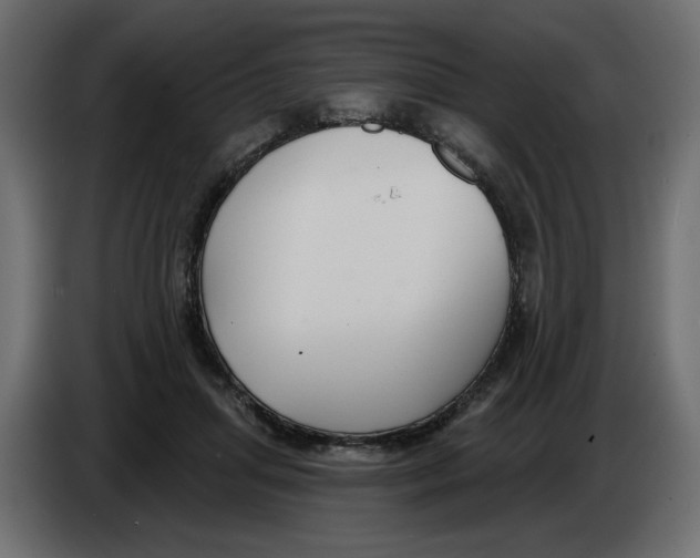 X0000086000455200704131809