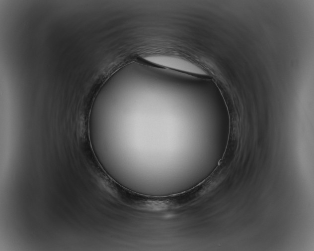 X0000086000457200704131809