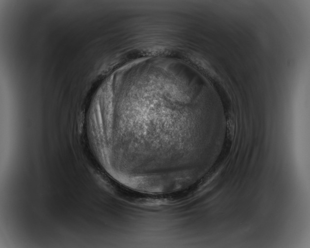 X0000086000458200704131809