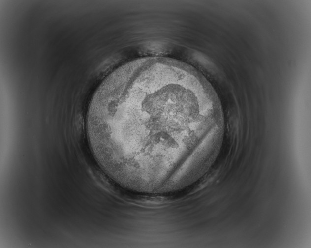 X0000086000459200704131809