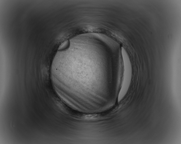 X0000086000461200704131809