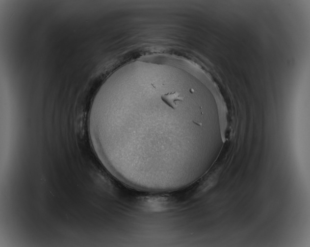 X0000086000462200704131809