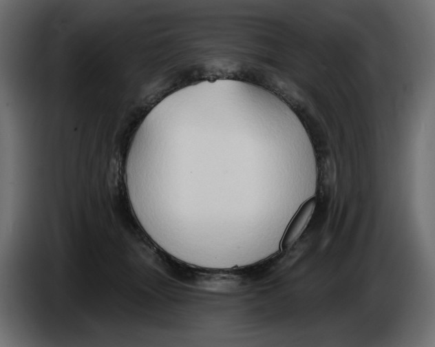 X0000086000463200704131809