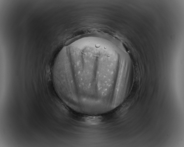 X0000086000465200704131809