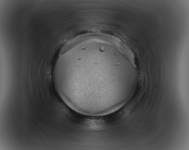 X0000086000466200704131809